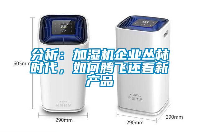 分析：加濕機企業叢林時代，如何騰飛還看新產品