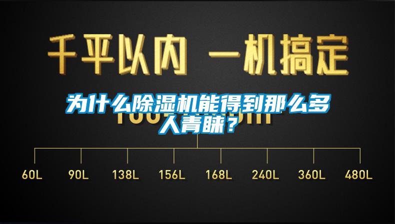 為什么除濕機能得到那么多人青睞？