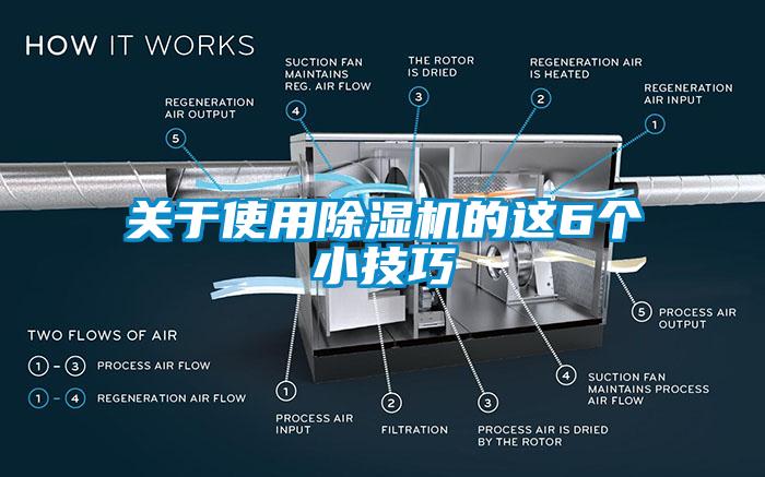 關于使用除濕機的這6個小技巧