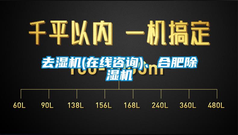 去濕機(在線咨詢)、合肥除濕機