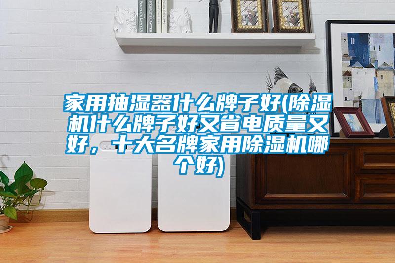 家用抽濕器什么牌子好(除濕機什么牌子好又省電質(zhì)量又好，十大名牌家用除濕機哪個好)