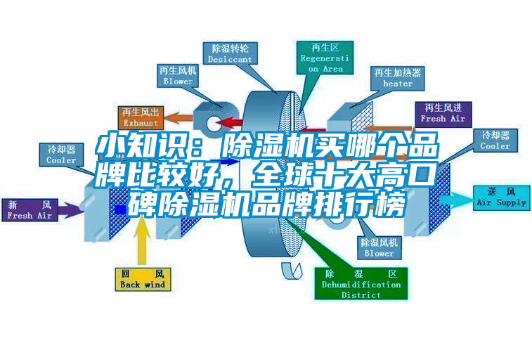 小知識：除濕機買哪個品牌比較好，全球十大高口碑除濕機品牌排行榜