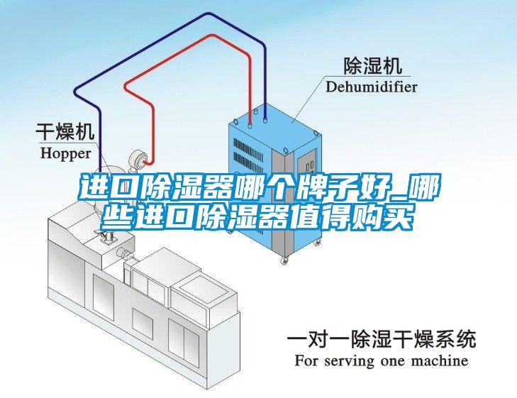 進(jìn)口除濕器哪個牌子好_哪些進(jìn)口除濕器值得購買