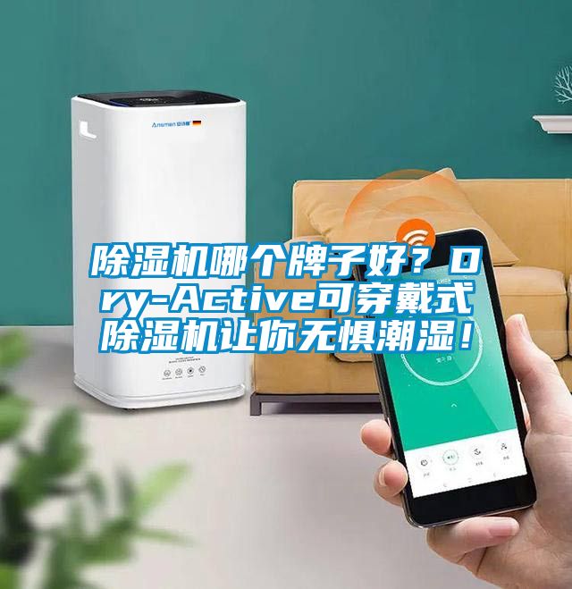 除濕機哪個牌子好？Dry-Active可穿戴式除濕機讓你無懼潮濕！