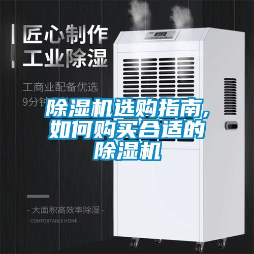 除濕機選購指南,如何購買合適的除濕機