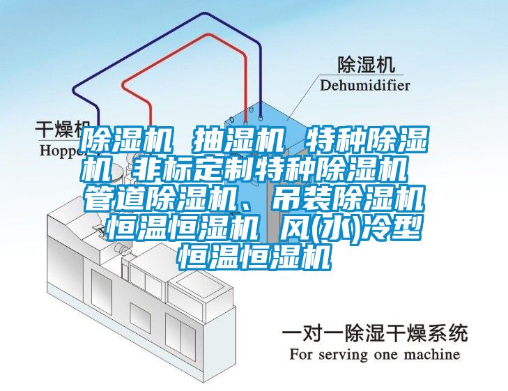 除濕機 抽濕機 特種除濕機 非標(biāo)定制特種除濕機 管道除濕機、吊裝除濕機 恒溫恒濕機 風(fēng)(水)冷型恒溫恒濕機