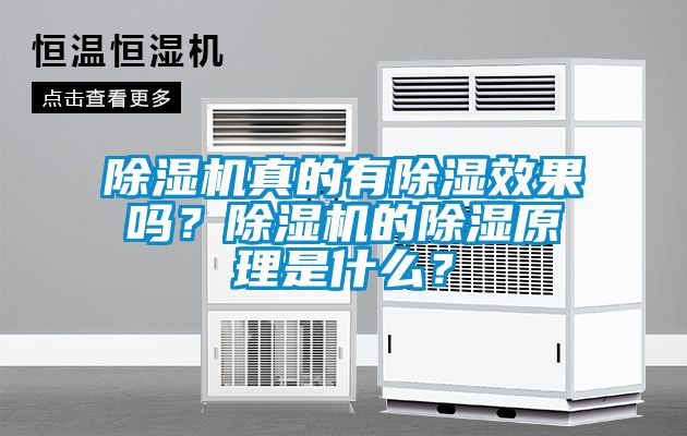 除濕機真的有除濕效果嗎？除濕機的除濕原理是什么？