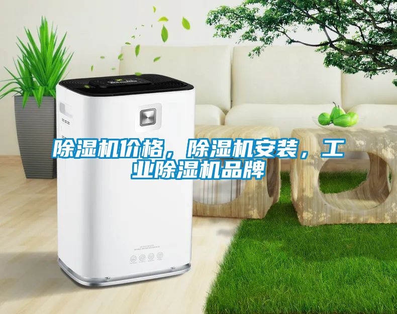 除濕機價格，除濕機安裝，工業(yè)除濕機品牌