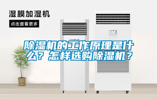 除濕機(jī)的工作原理是什么？怎樣選購除濕機(jī)？