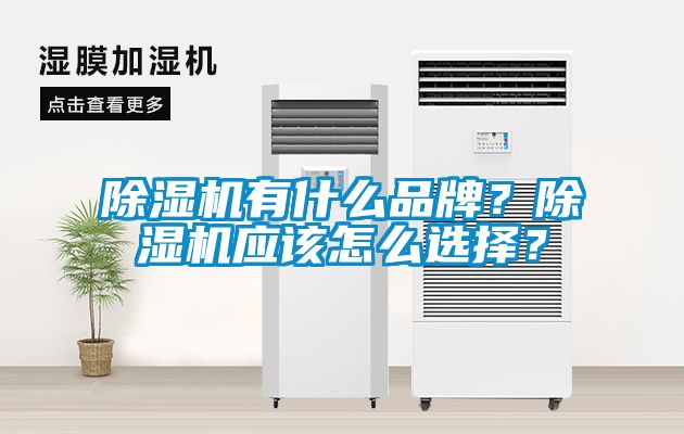 除濕機有什么品牌？除濕機應該怎么選擇？