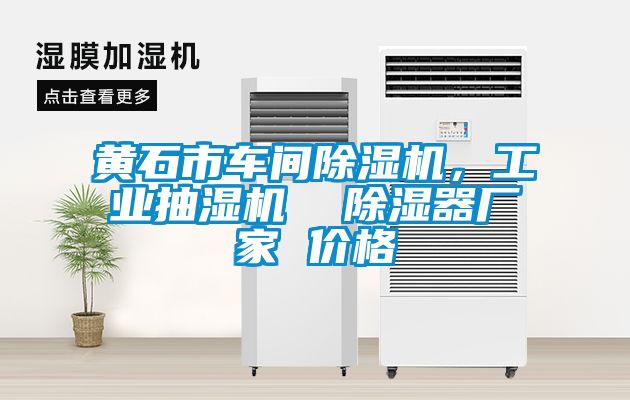 黃石市車間除濕機，工業(yè)抽濕機  除濕器廠家 價格