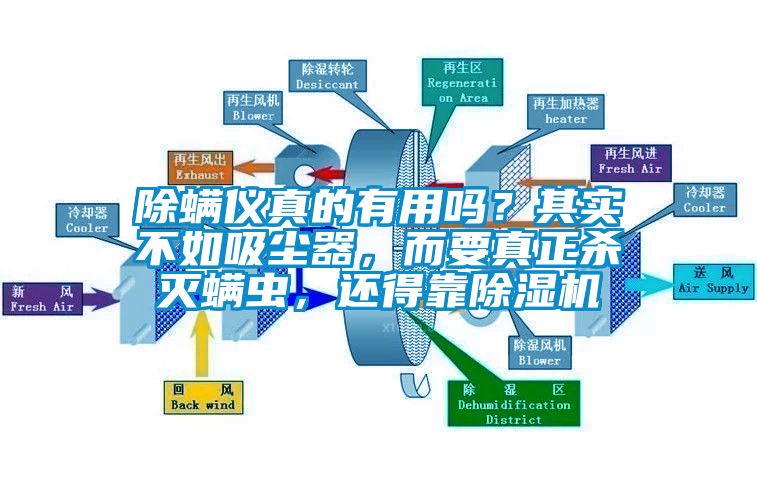 除螨儀真的有用嗎？其實(shí)不如吸塵器，而要真正殺滅螨蟲，還得靠除濕機(jī)